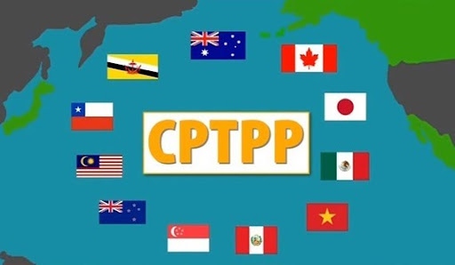 Law-making activities for CPTPP implementation under scrutiny